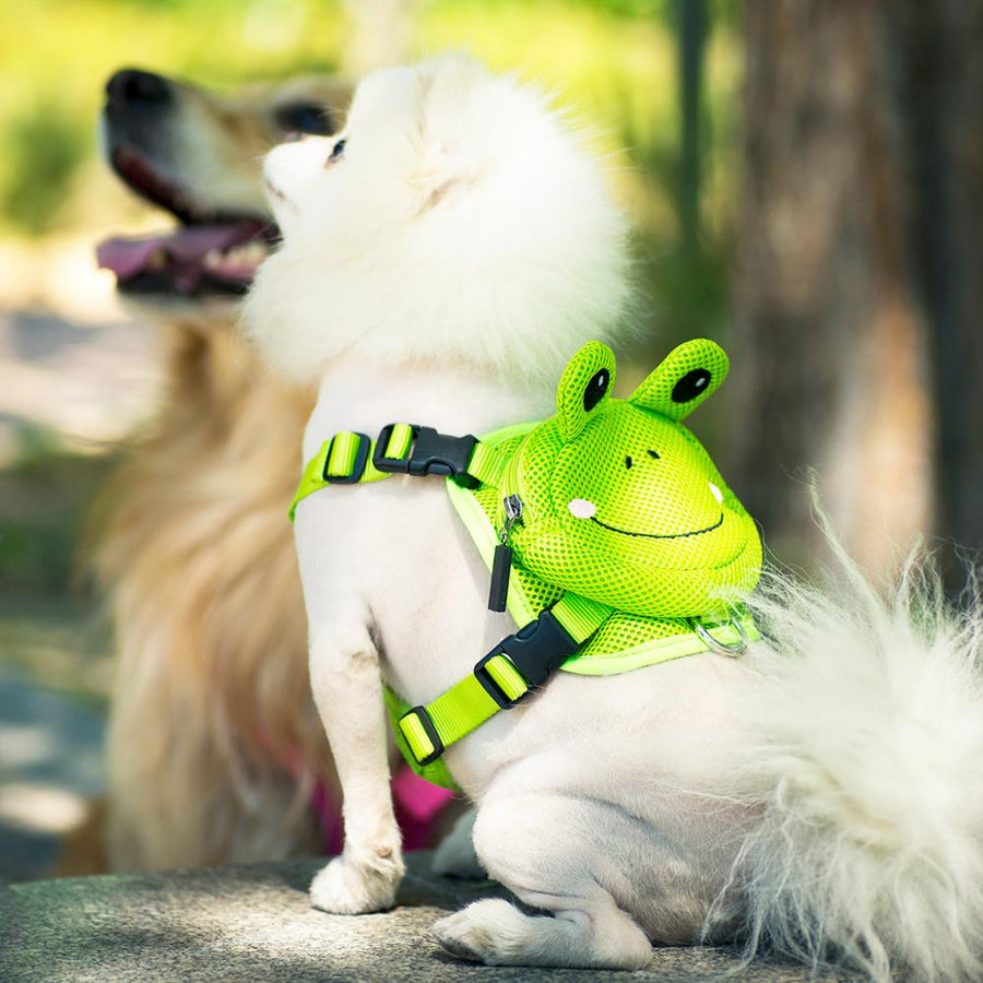 Cute Pet Travel Backpack Harness