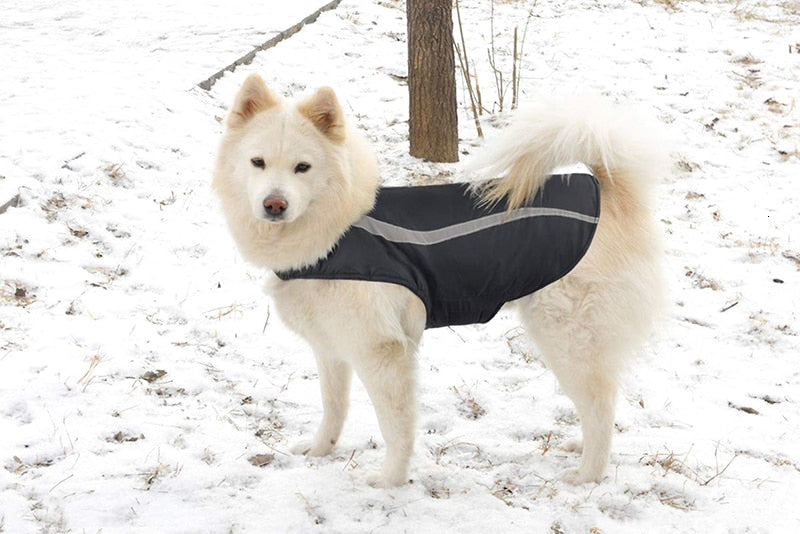 Durable Reflective Winter Large Dog Coat