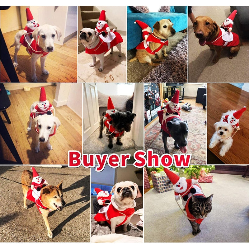 Santa Claus Riding Dog Costume