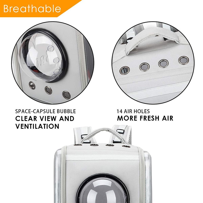 Ventilated Big Space Transparent Pet Carrier