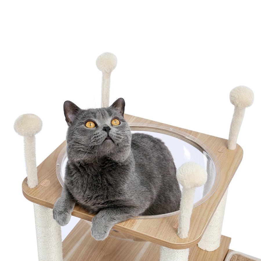 Luxury Modern Cat Tree