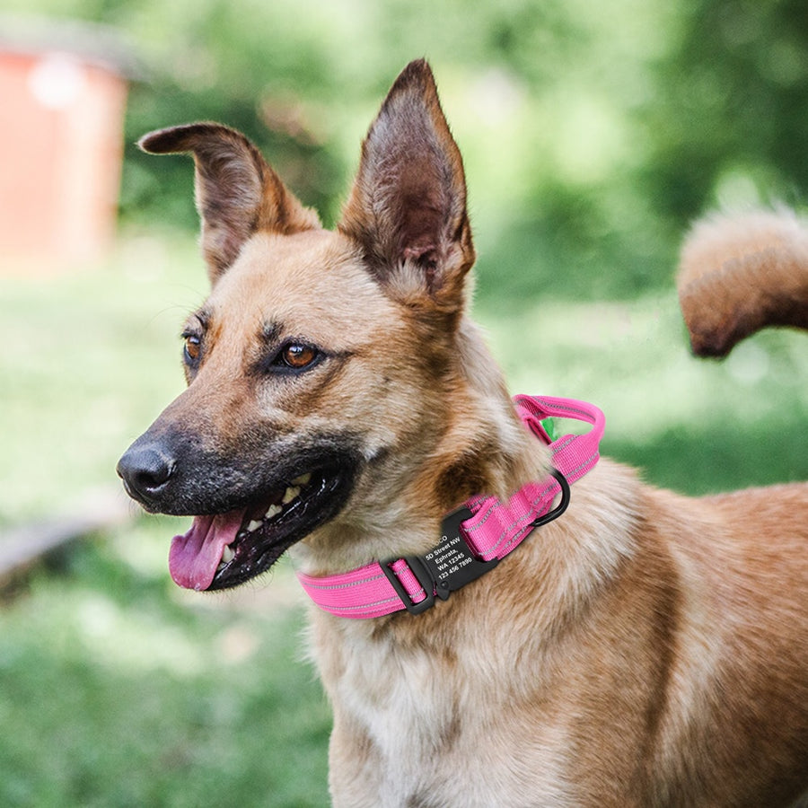 Pink Military Tactical Dog Collar