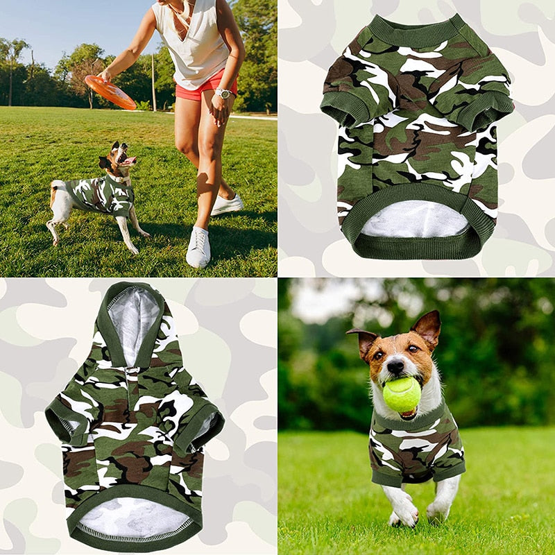 Basic Camouflage Dog Hoodies