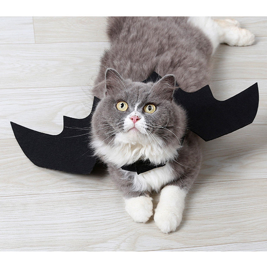 Cute Halloween Pets Bat Wings Costume