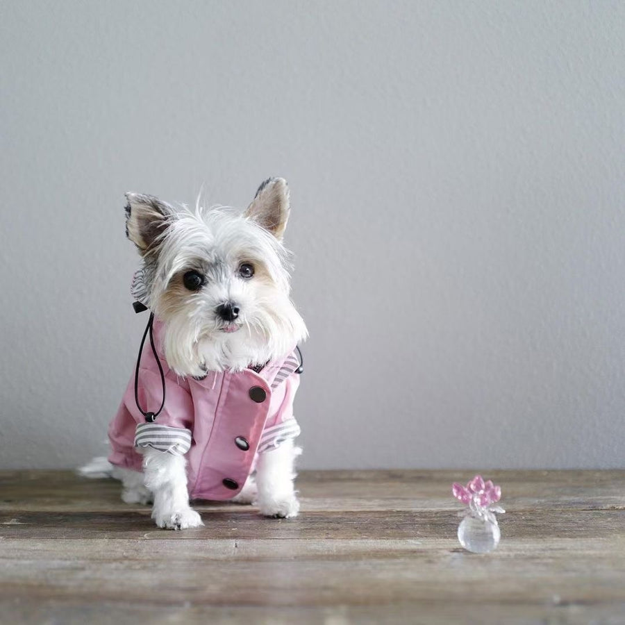 Waterproof Hoodies Pet Raincoat