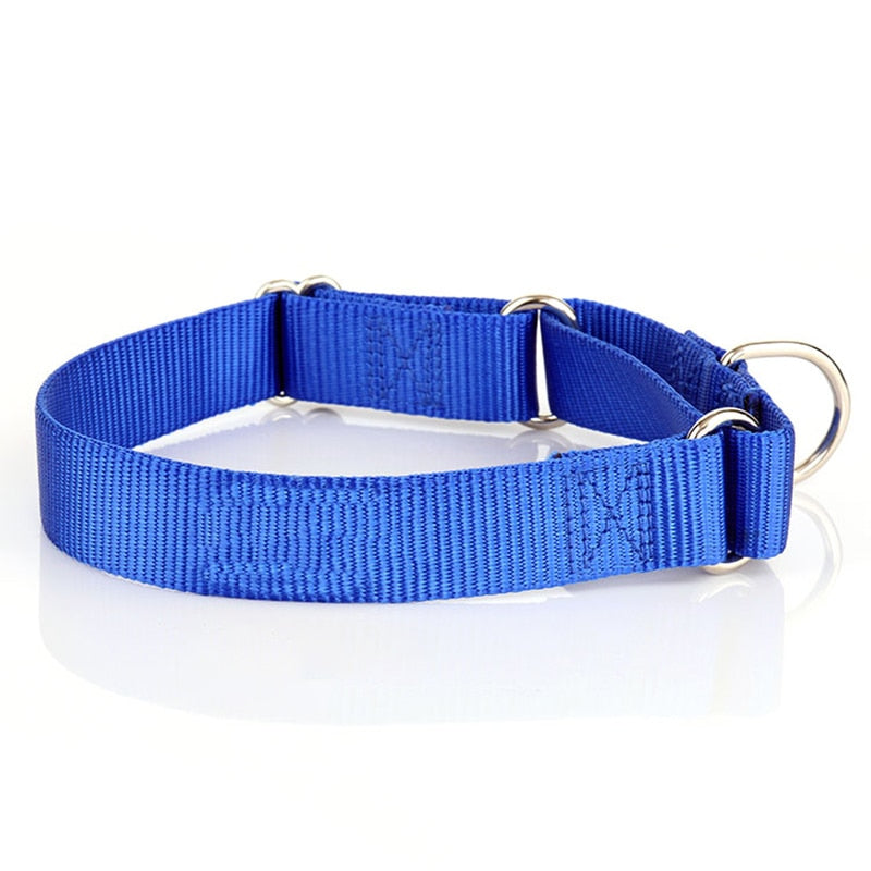 Sturdy Martingale Nylon Dog Collar