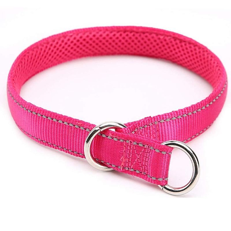 Premium Nylon Strap Dog Collar