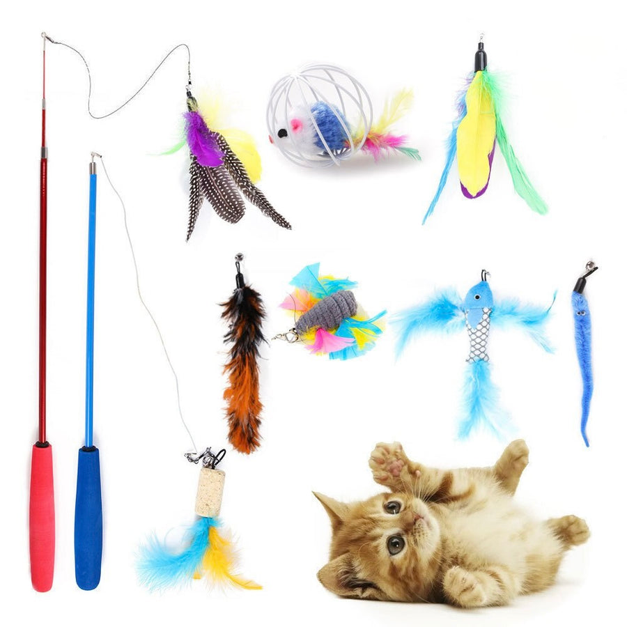 10 Pack Fun Cat Toys