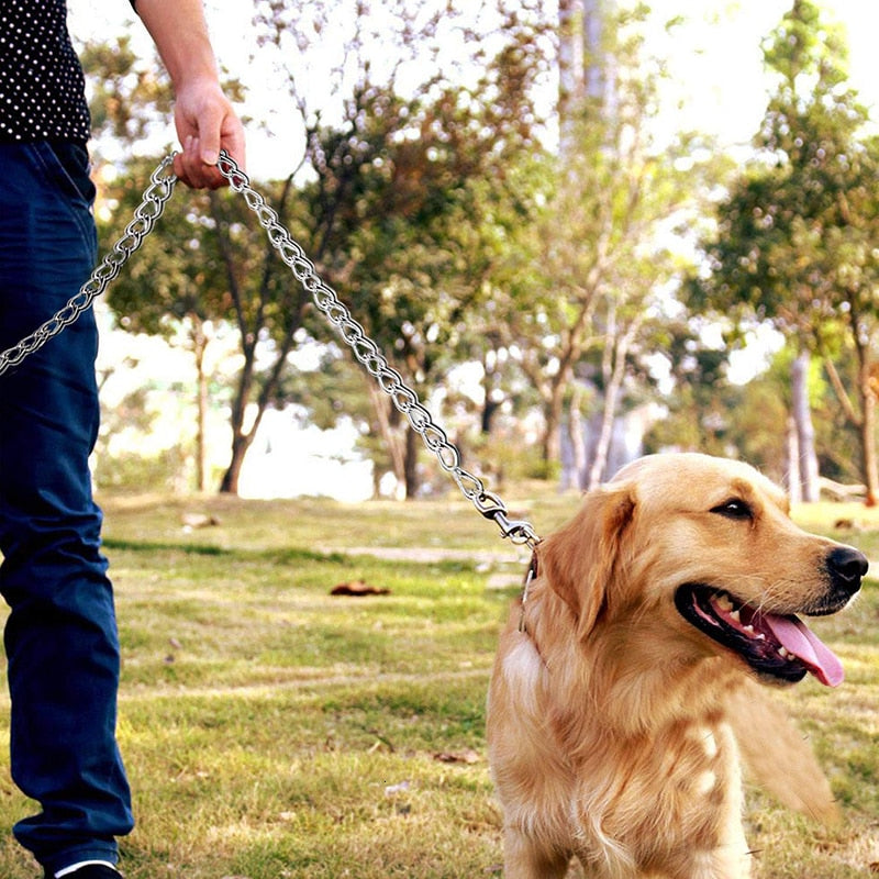 Heavy Duty Large Metal Dog Leash