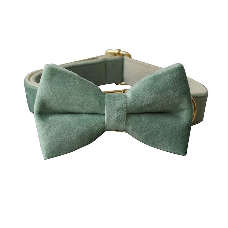 Luxury Green Velvet Dog Collar Set