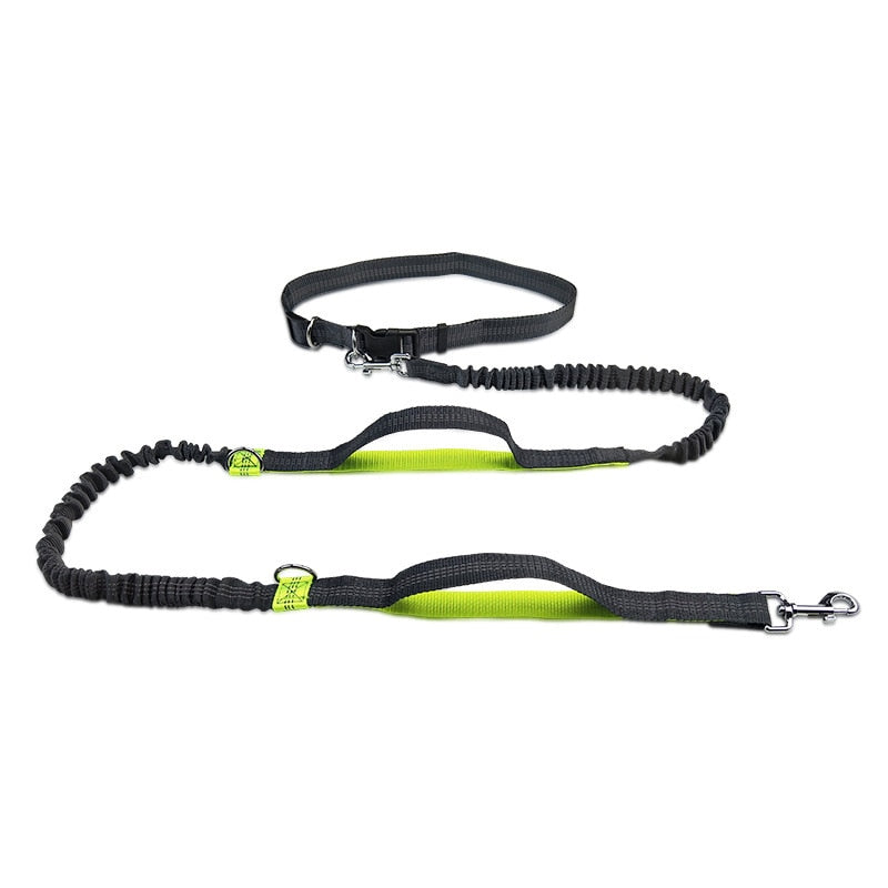 Dual Handles Hands Free Dog Leash