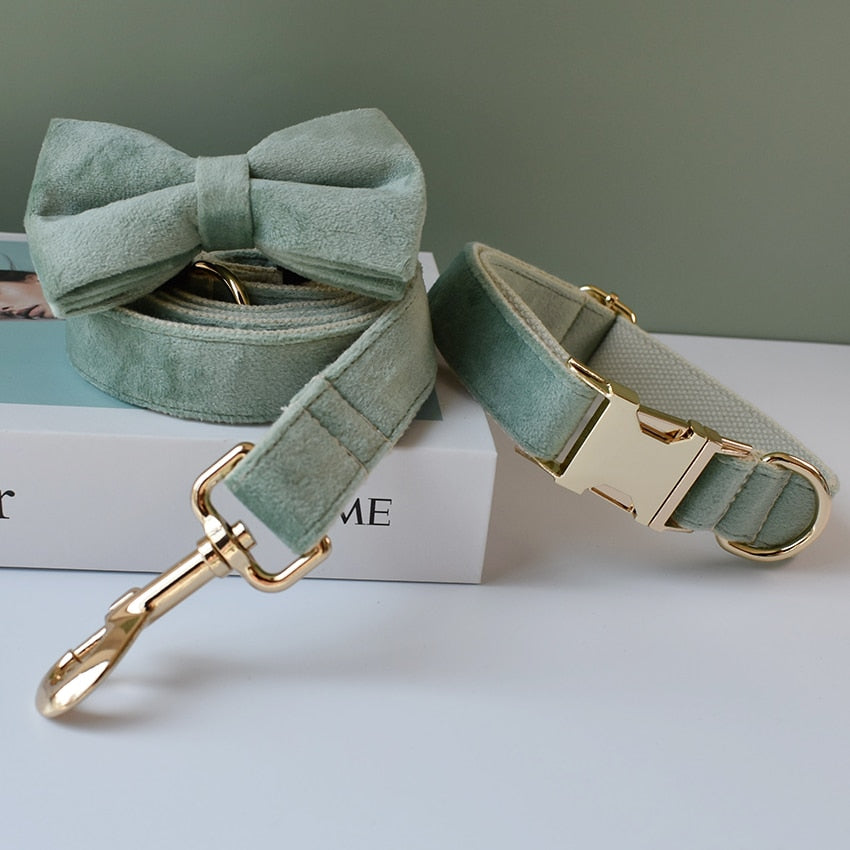 Luxury Green Velvet Dog Collar Set