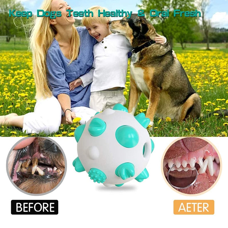 Bite Resistant IQ Treat Dog Ball