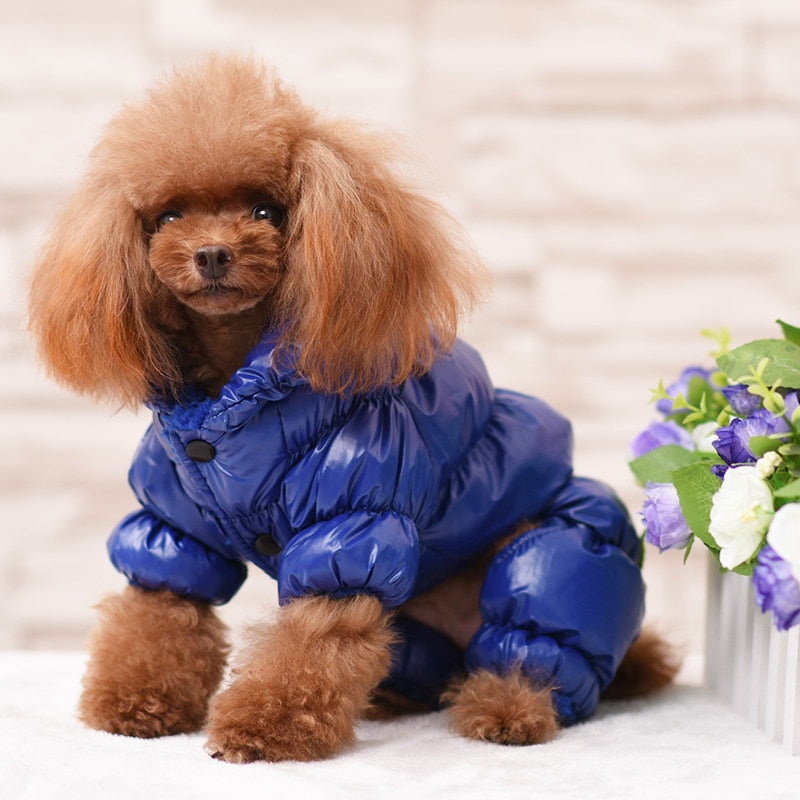 Fashion Windproof Winter Dog Clothes