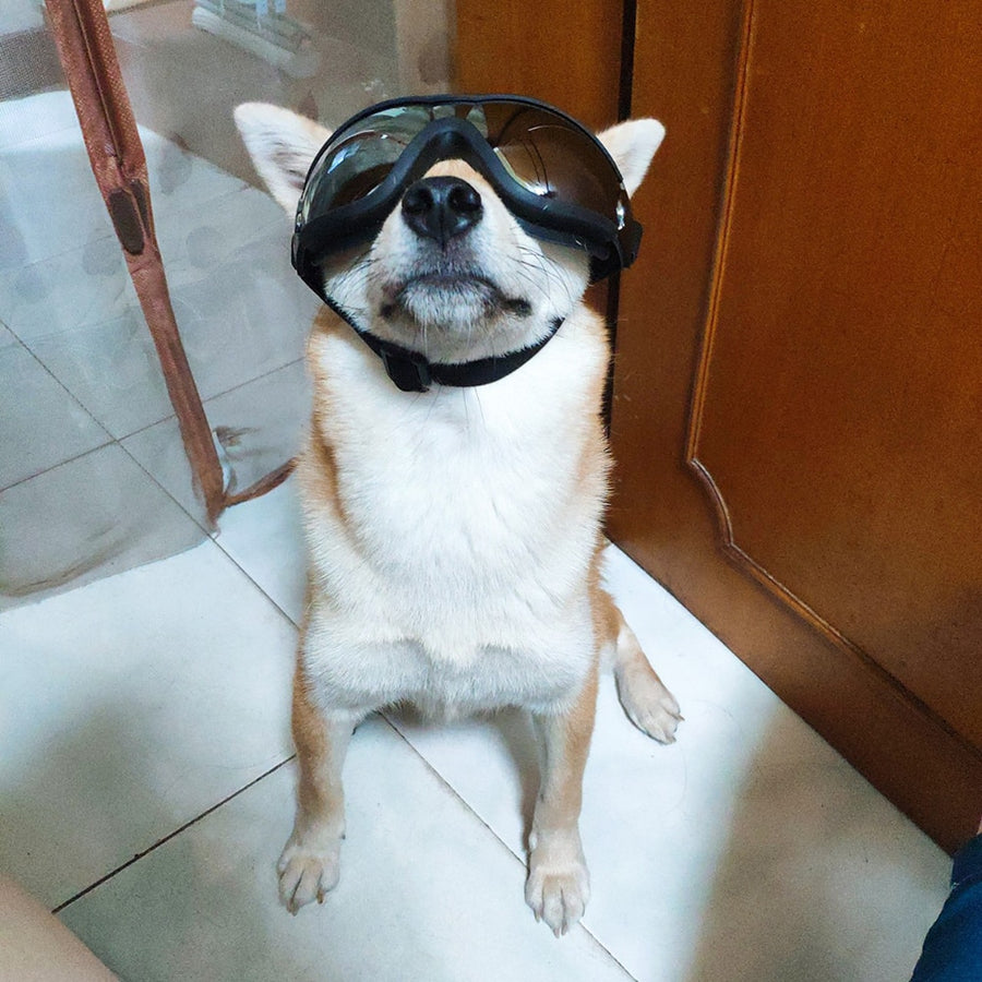 Cool UV Protection Dog Goggles