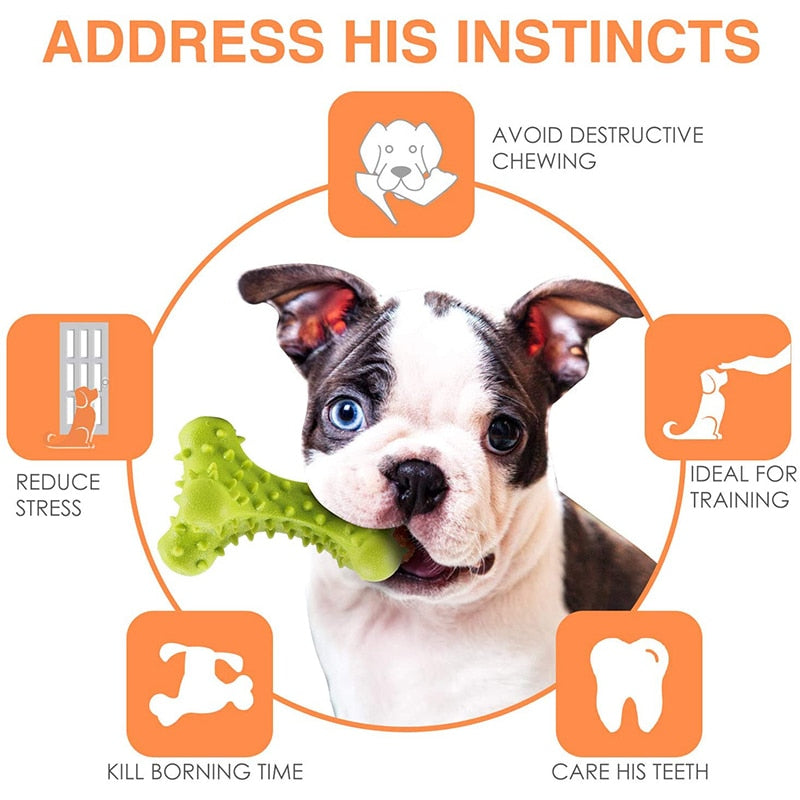 Improves Dental Hygiene Dog Chew Toy