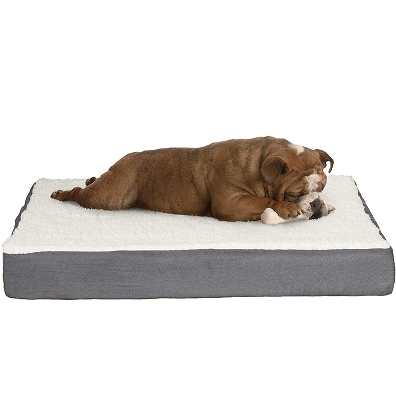 Elastic Fleece Memory Foam Dog Bed