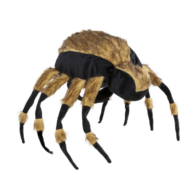 Funny Halloween Spider Dog Costumes