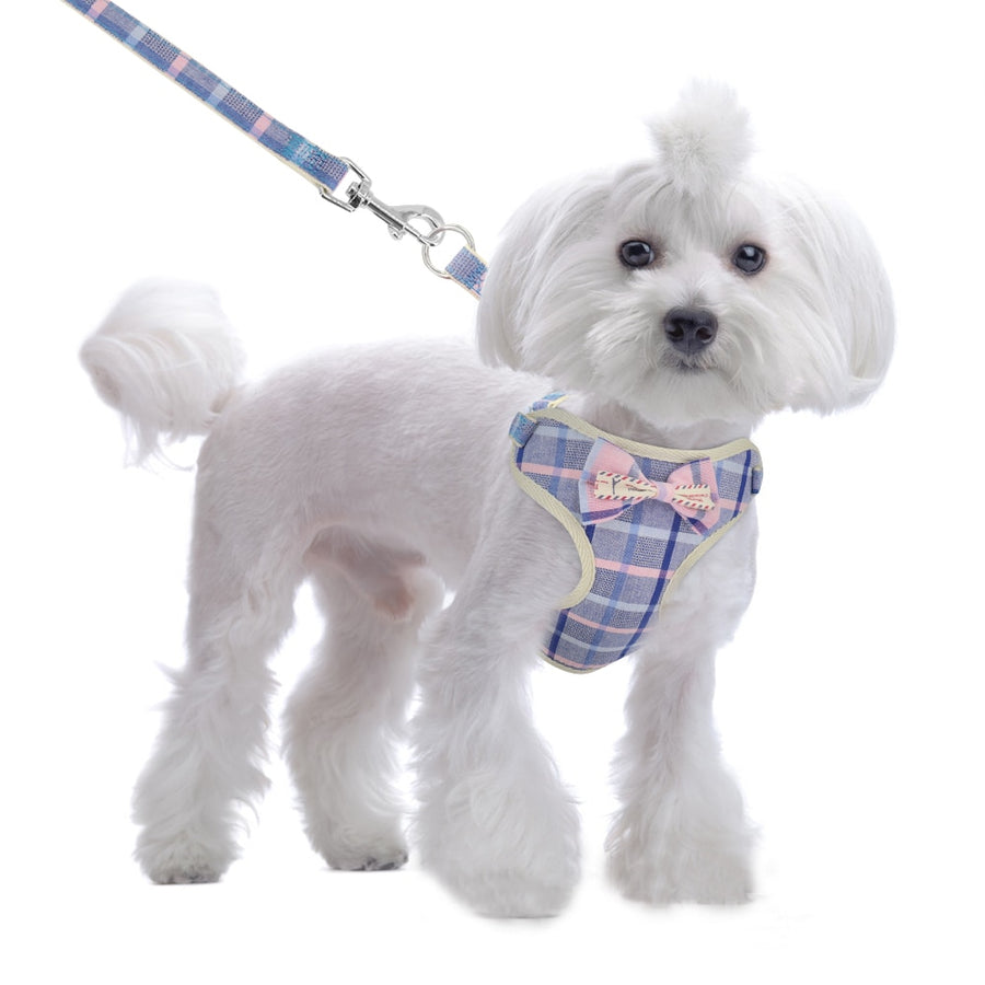 Cute Bowknot Pet Harness