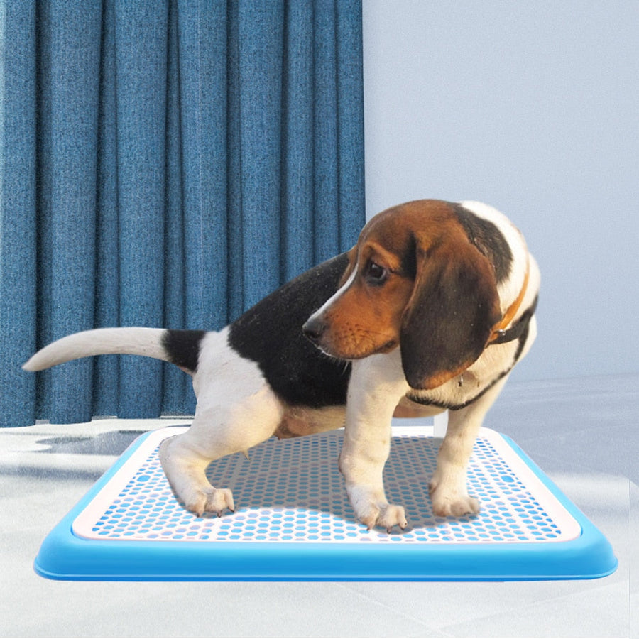 2 Layers Indoor Dog Training Toilet