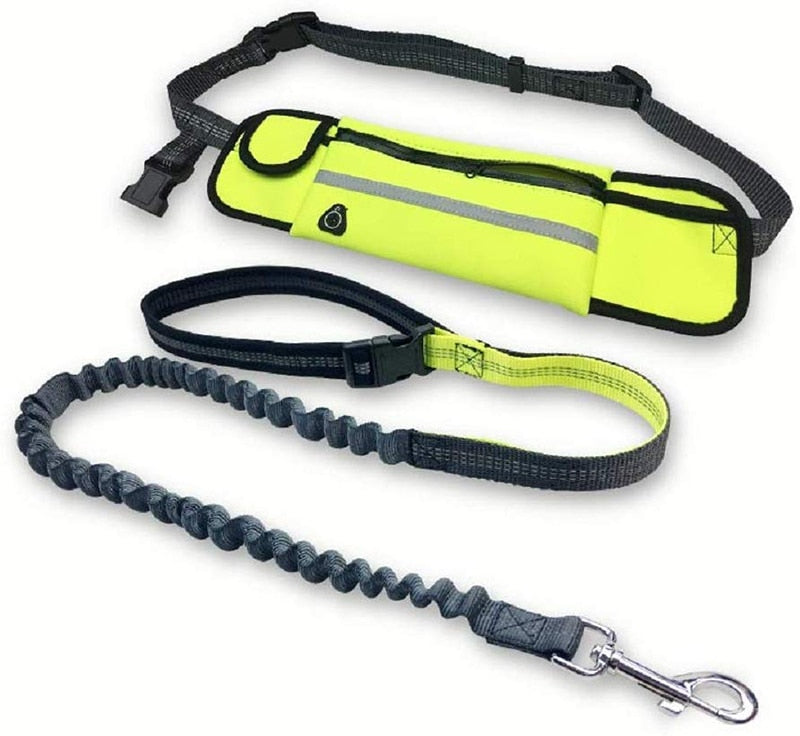 Handsfree Bungee Dog Leash With Pocket