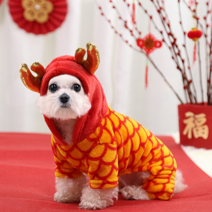 Chinese Dragon Dog Jumpsuit