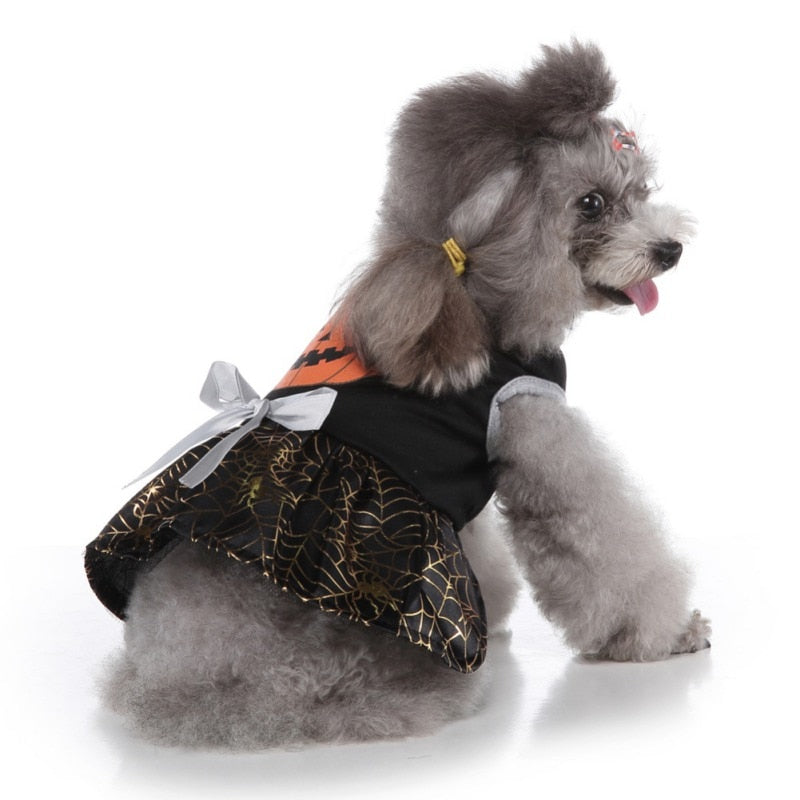 Halloween Pumpkin Pet Skirt