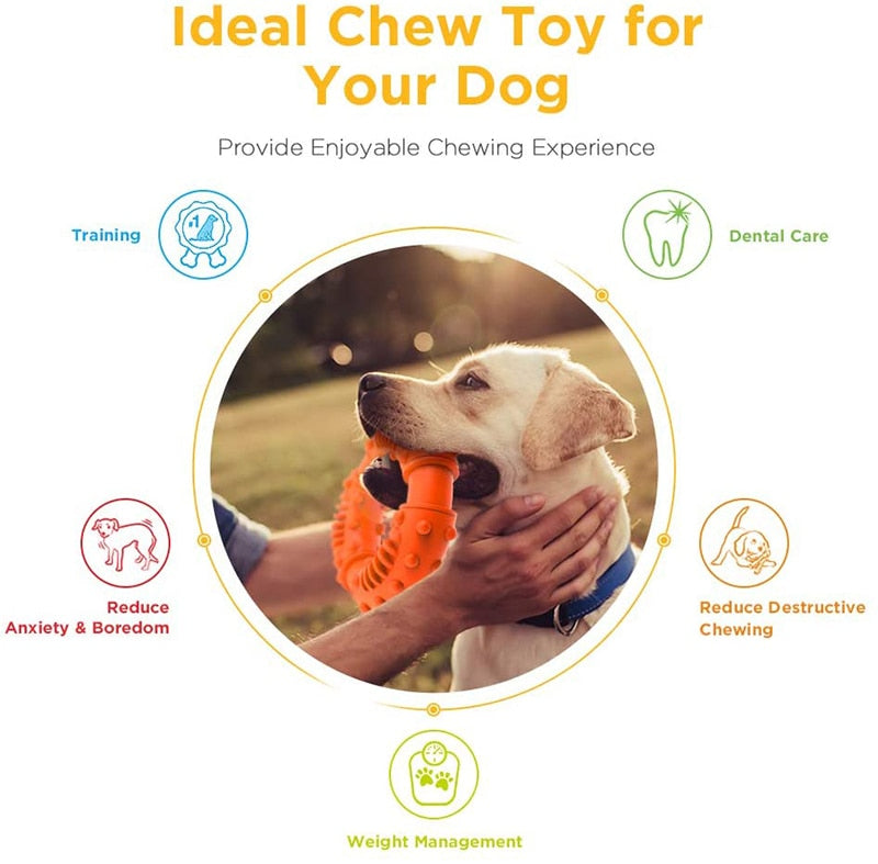 Orange Strong Rubber Dog Chew Toy