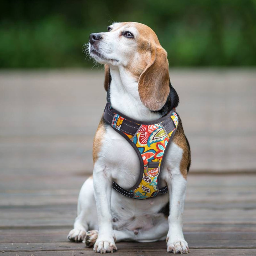 Reflective Quick Control Dog Harness