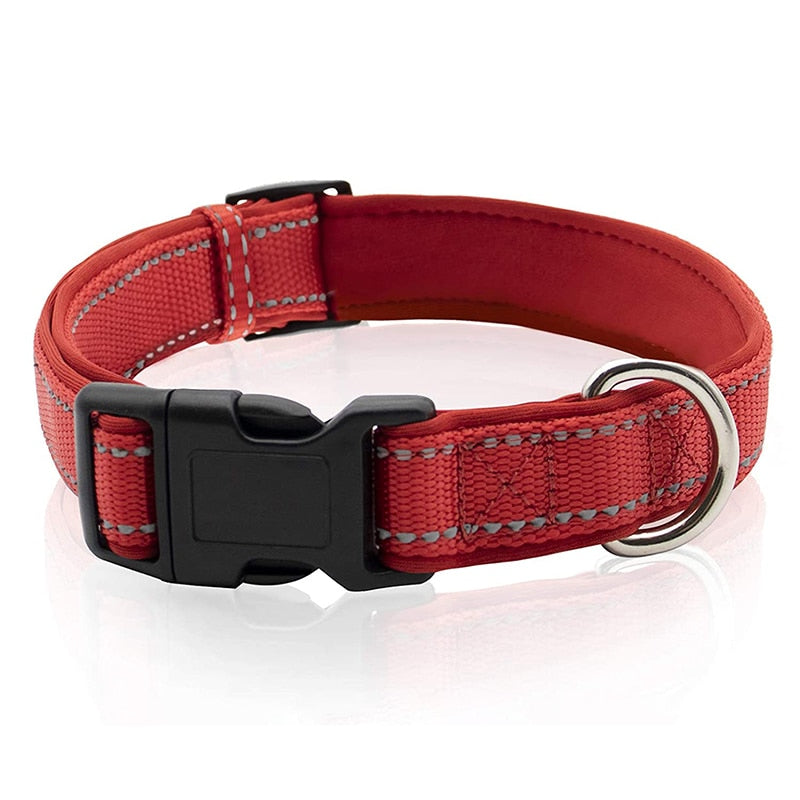 Neoprene Padded Solid Dog Collar