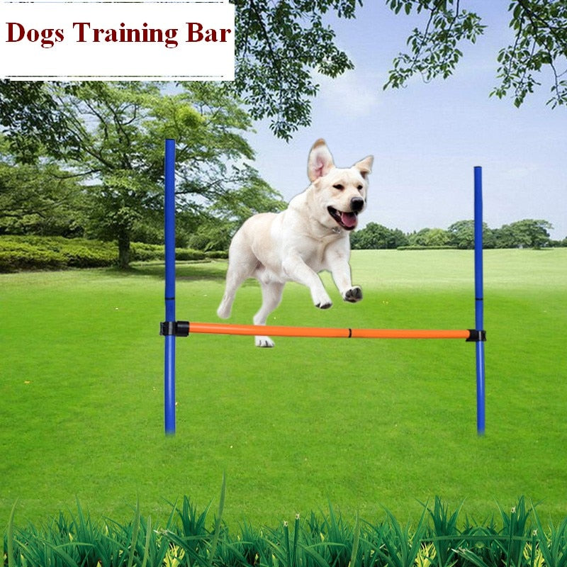 Dog Agility Obstacle Training Equipment