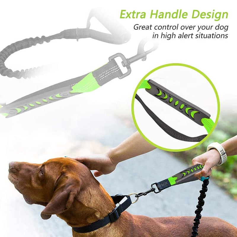 Short Distance Control Bungee Dog Leash