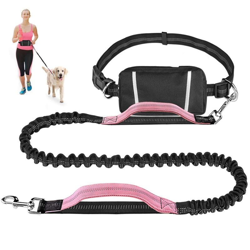 Elastic Bungee Hand Free Dog Lead