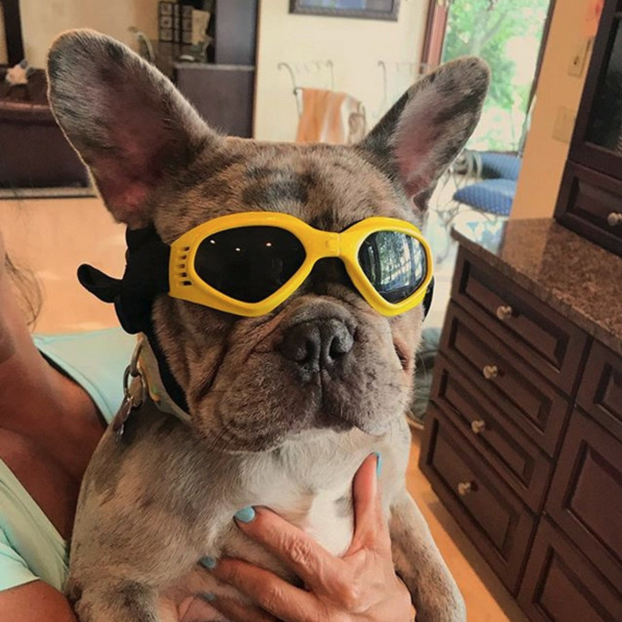 Mini Fashion Dog Goggles