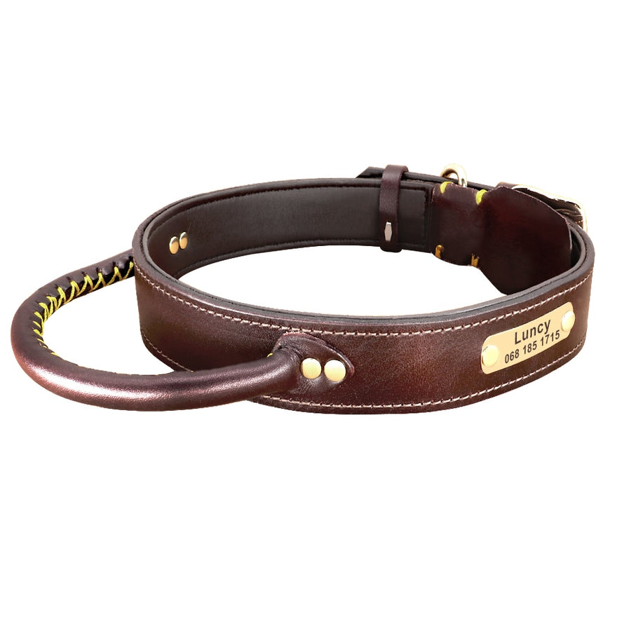 Quick Control Leather Dog Collar