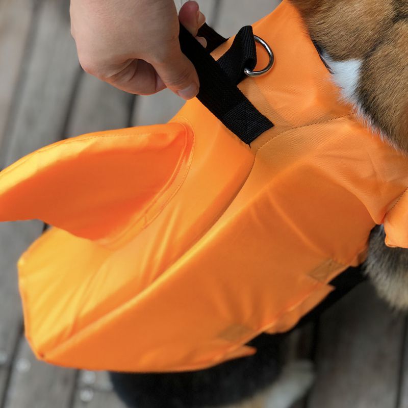 Summer Orange Shark Dog Life Vest