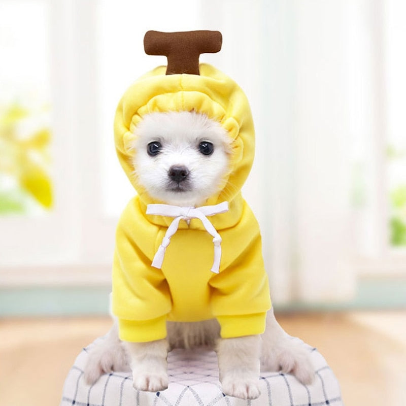 Dog Winter Warm Funny Costumes