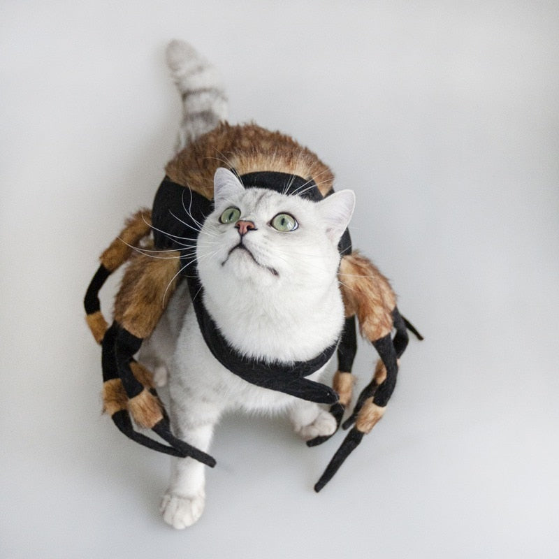 Funny Halloween Spider Dog Costumes