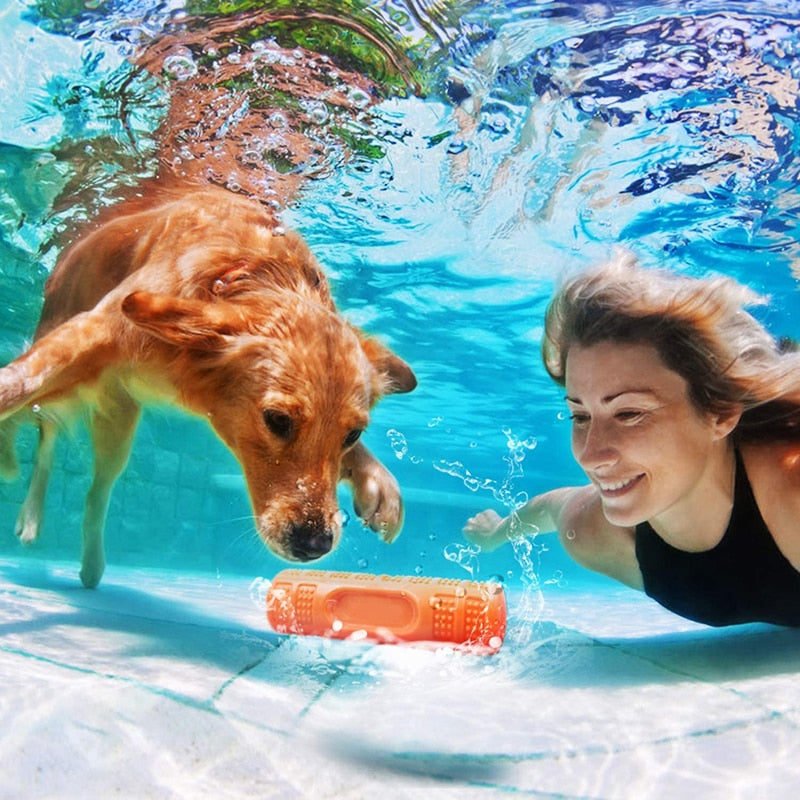 Floatable Bouncy Dog Bone Stick