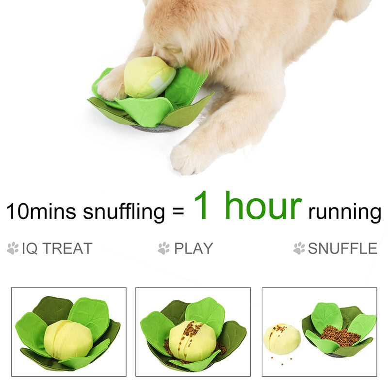 Cabbage Pet Dog Sniffing Toys