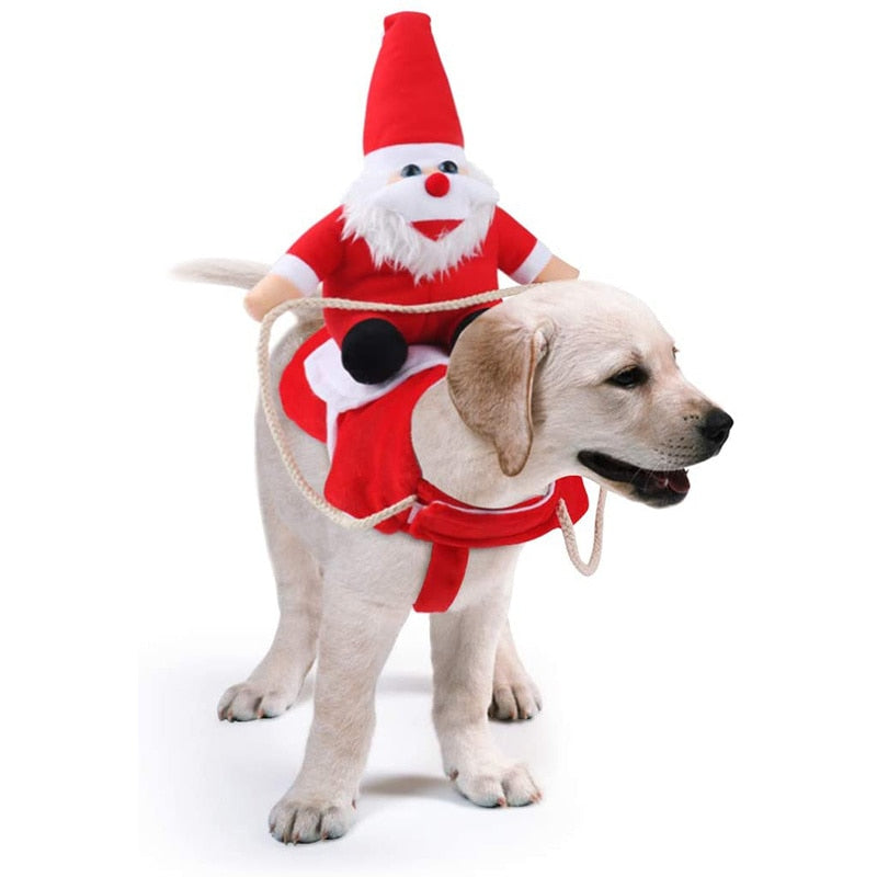 Santa Claus Riding Dog Costume