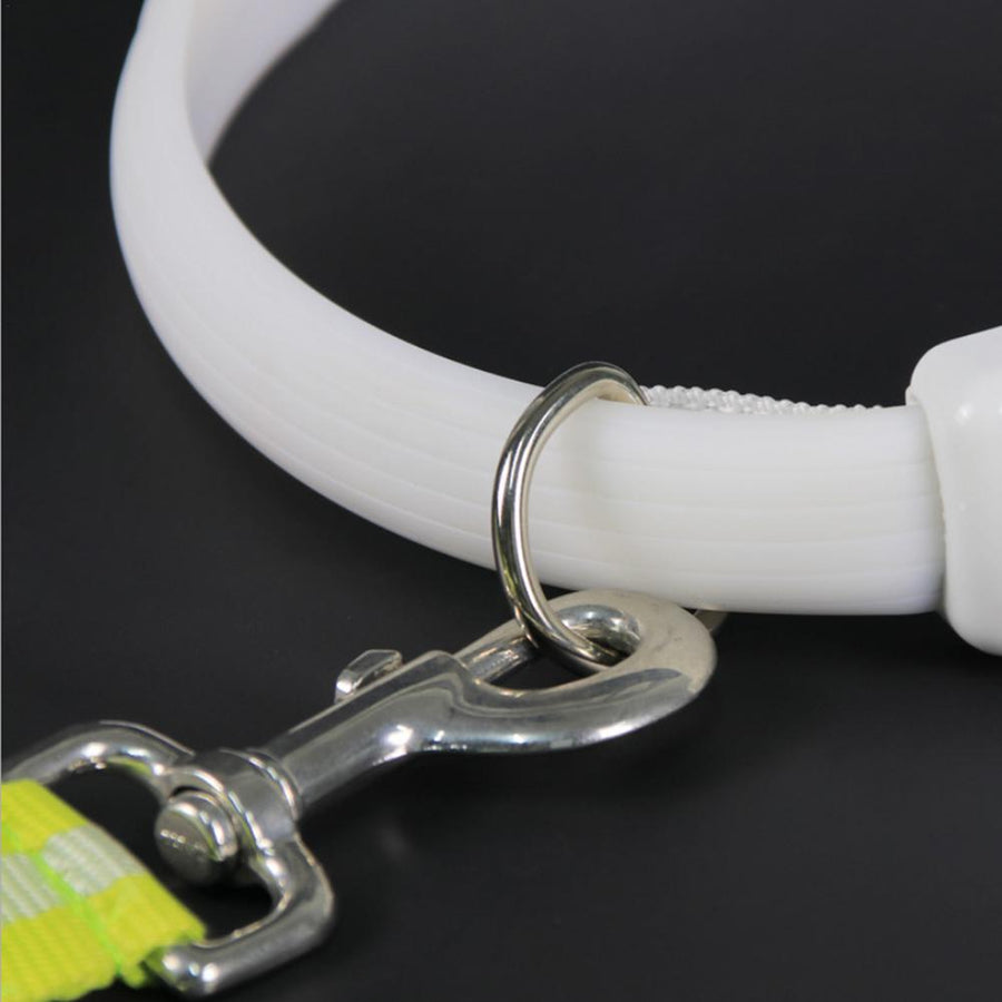 LED Luminous USB Dog Collar