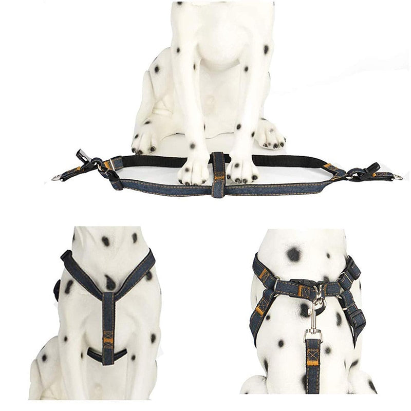 Stylish Soft Small Medium Dog Harness