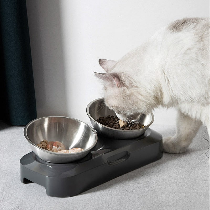 Stainless Steel Nano 15° Pet Double Bowl