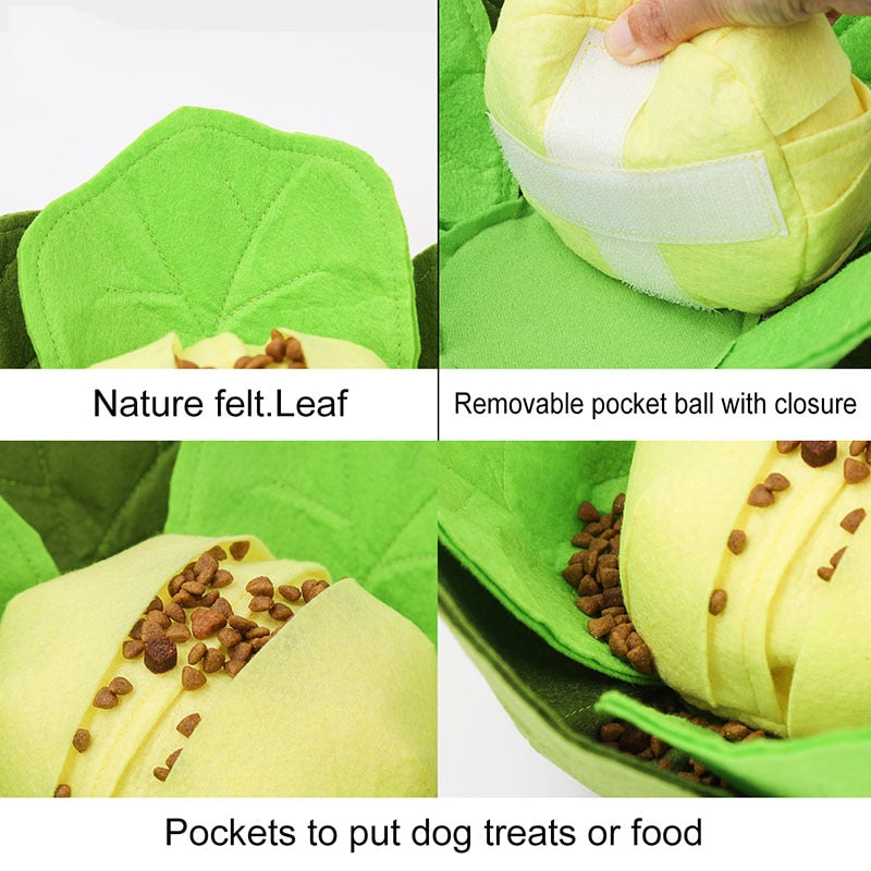 Cabbage Pet Dog Sniffing Toys