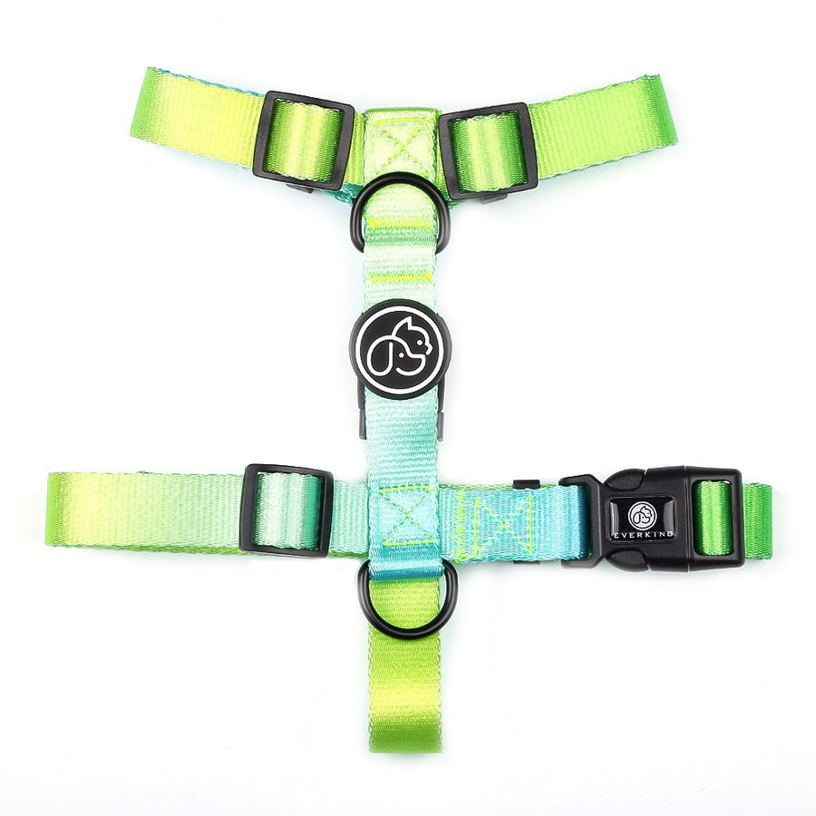 Gradient Dog Harness And Leash Set