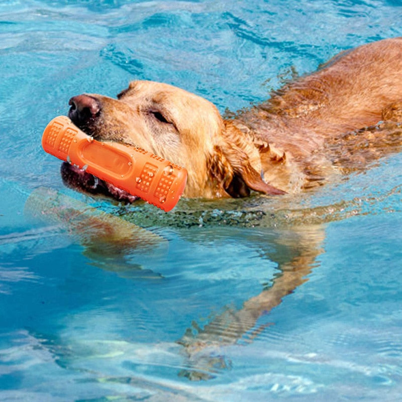 Floatable Bouncy Dog Bone Stick