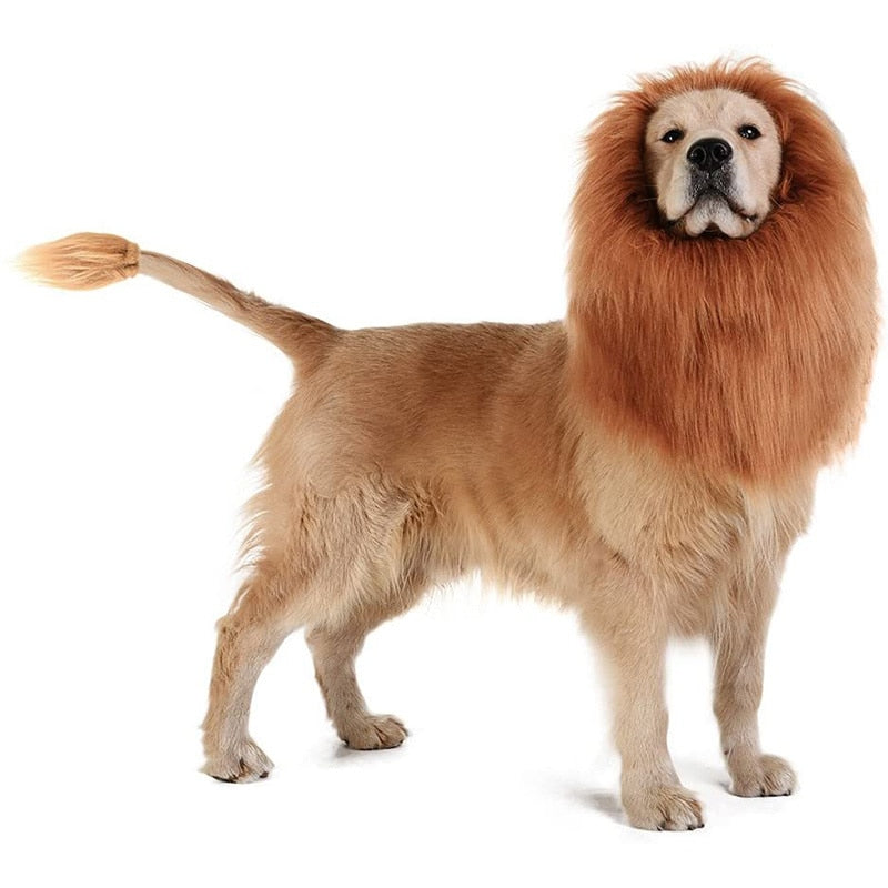 Halloween Dog Lion Costume