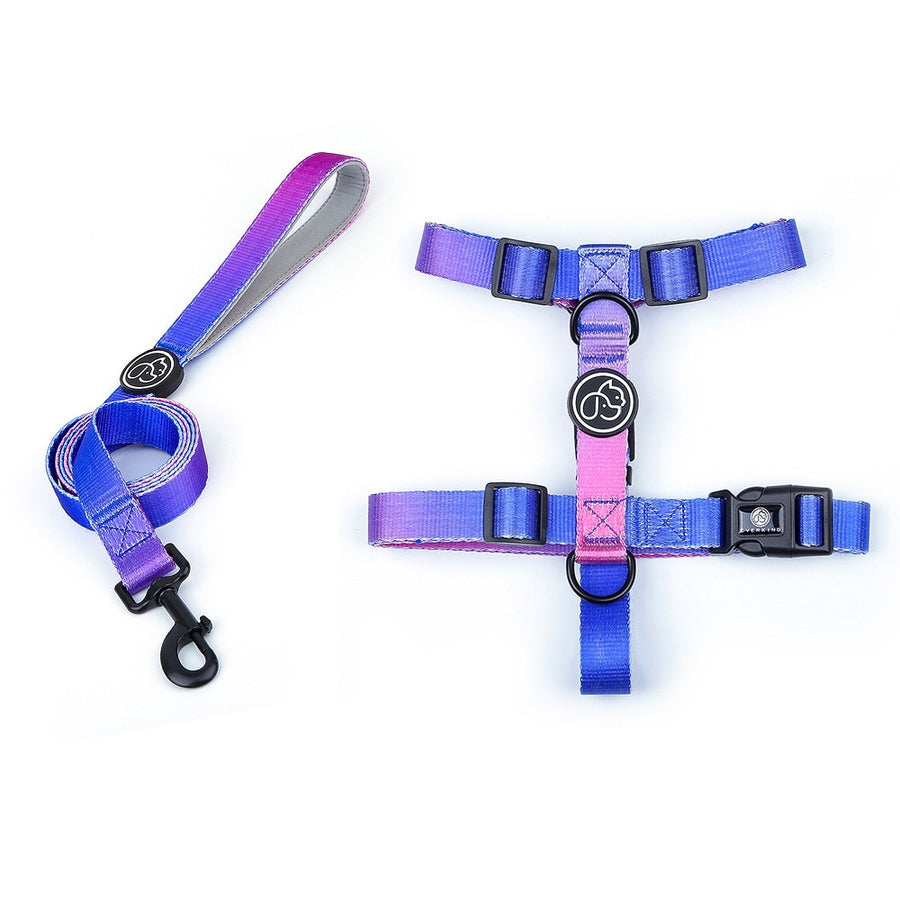 Gradient Dog Harness And Leash Set