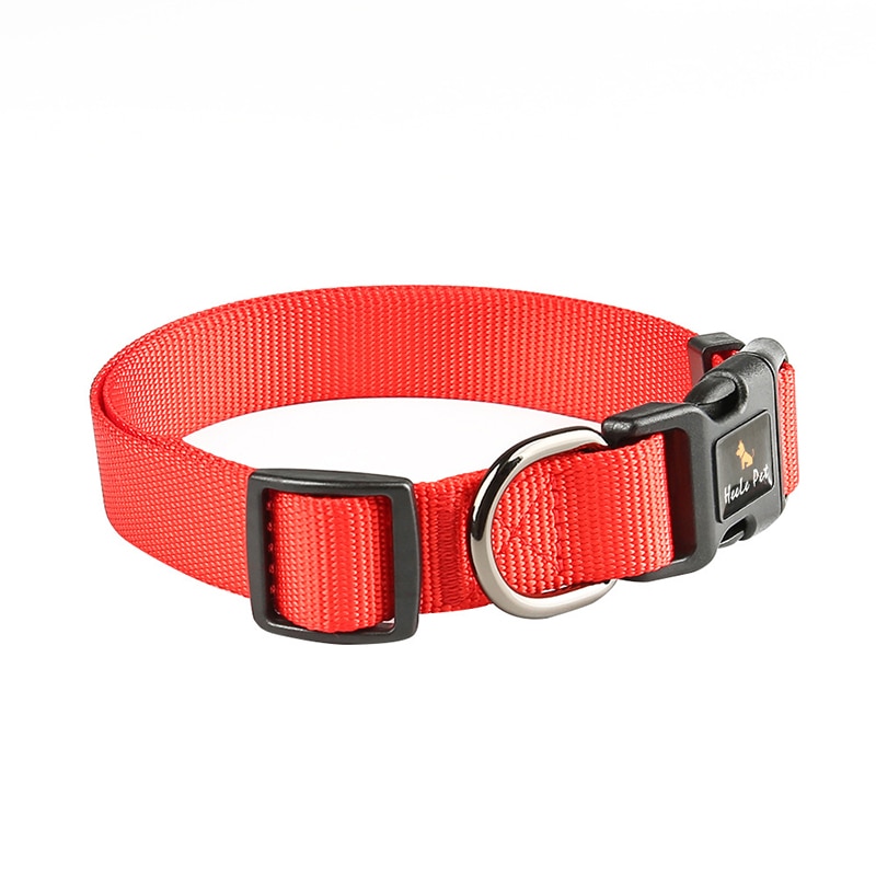 Safety Locked Buckle Dog Collar